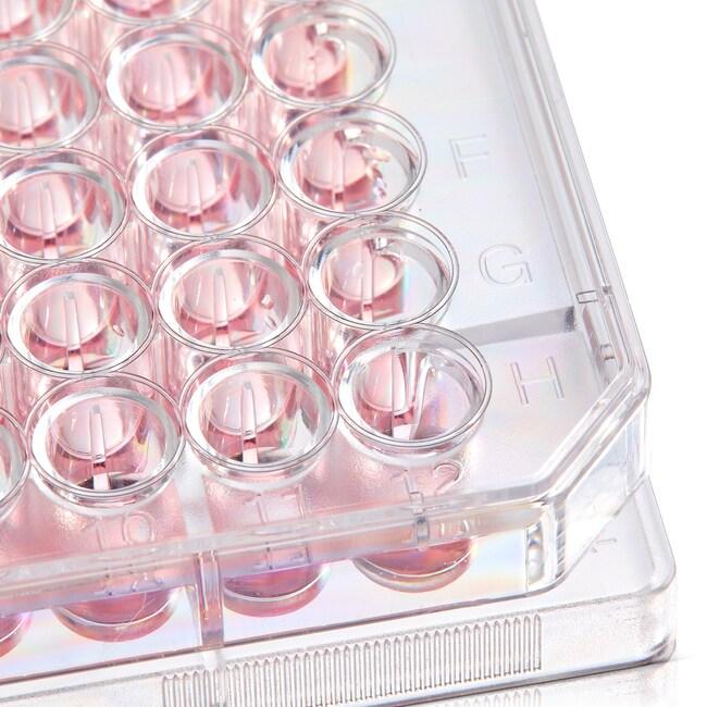 Планшет культуральний BIOLITE 130186 24-лунковий пласкодонний з поверхнею росту 1.9 см² стерильний з кришкою